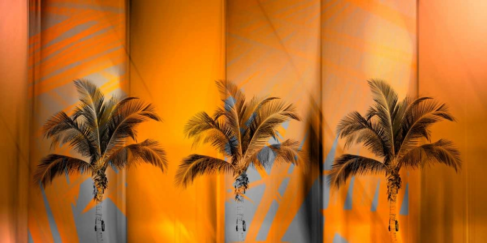 Tropicana