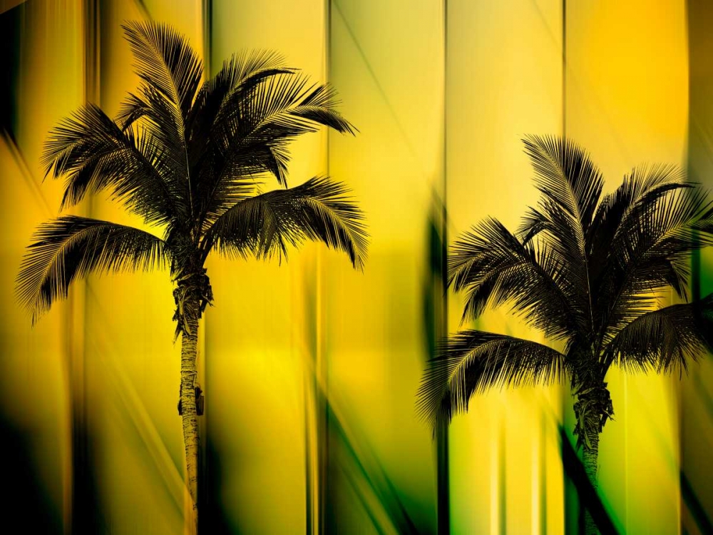 Two Palms