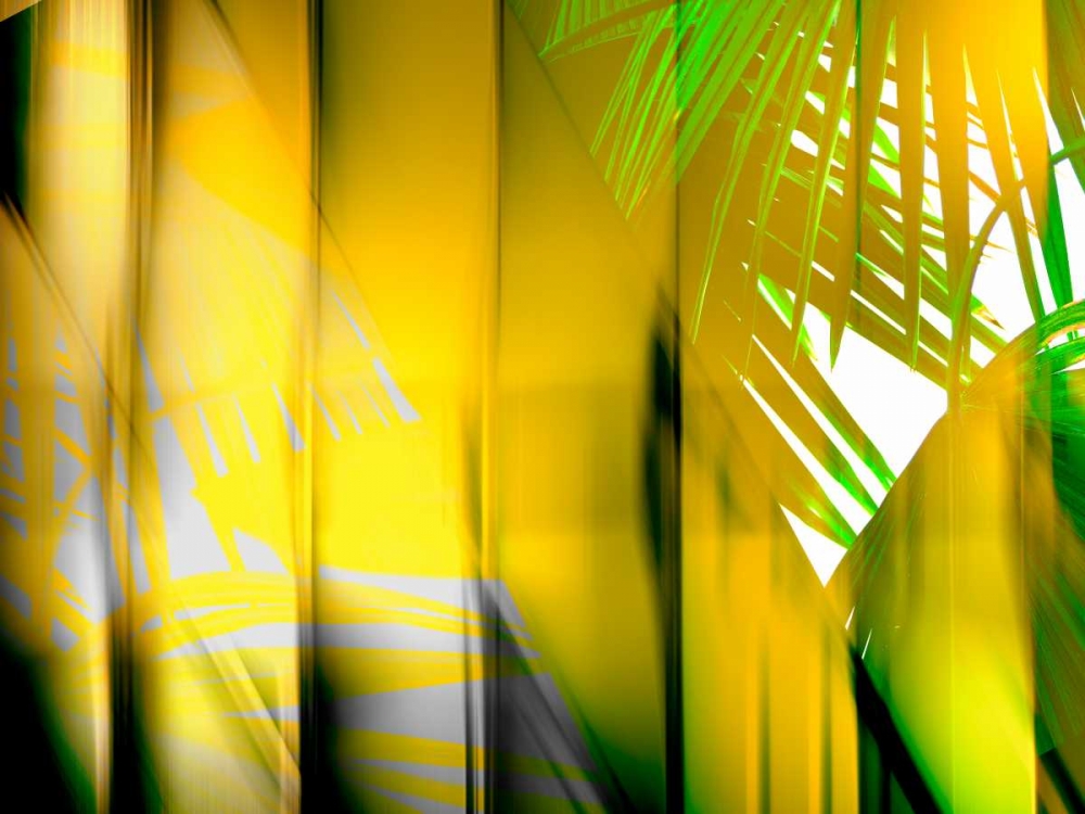 Yellow Shades