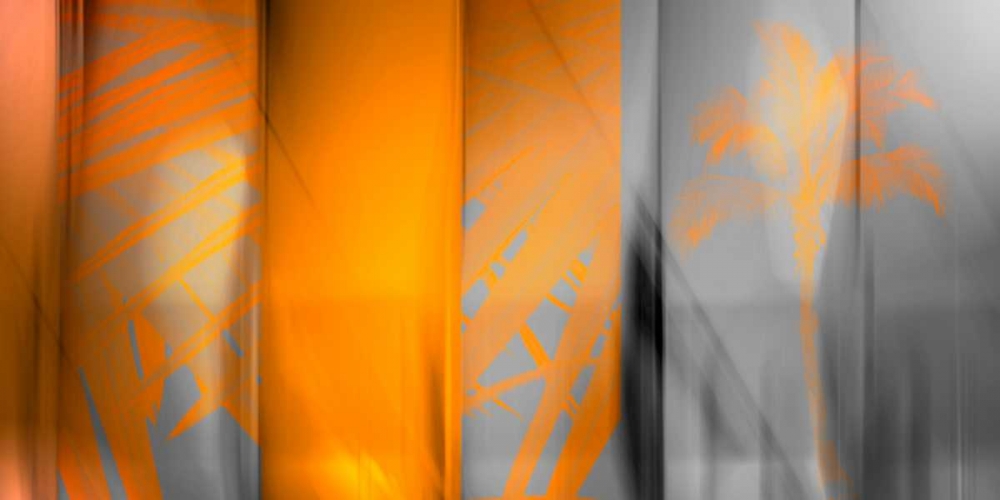 Orange Shades