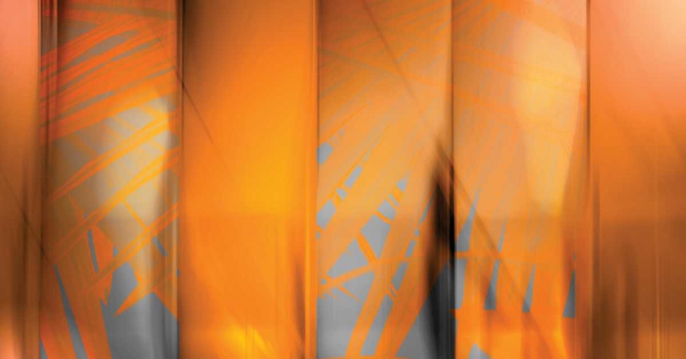 Tangerine on Grey