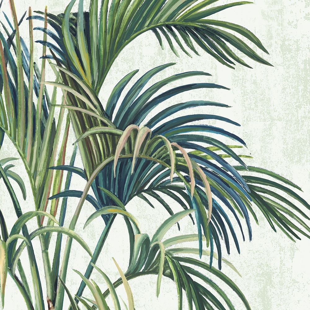 Tropical Wind I
