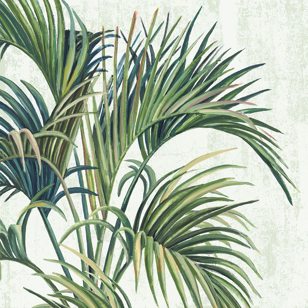 Tropical Wind II