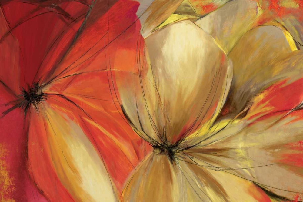 Sharing the Spotlight