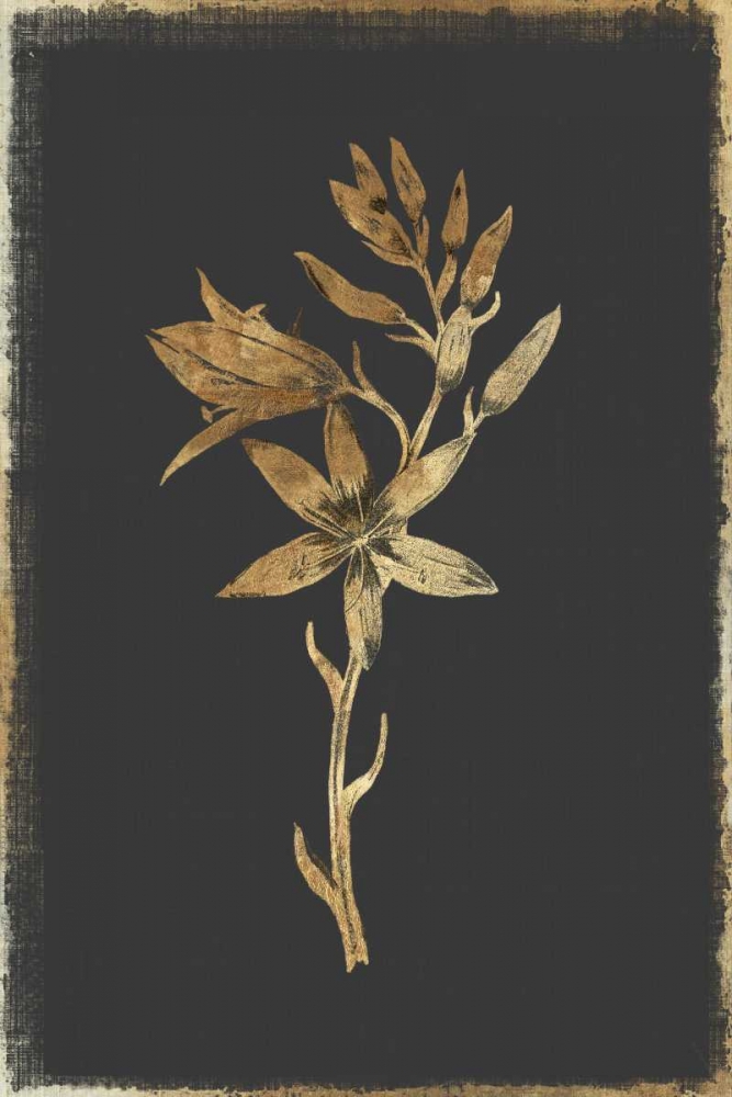 Carmass and Wild Hyacinth