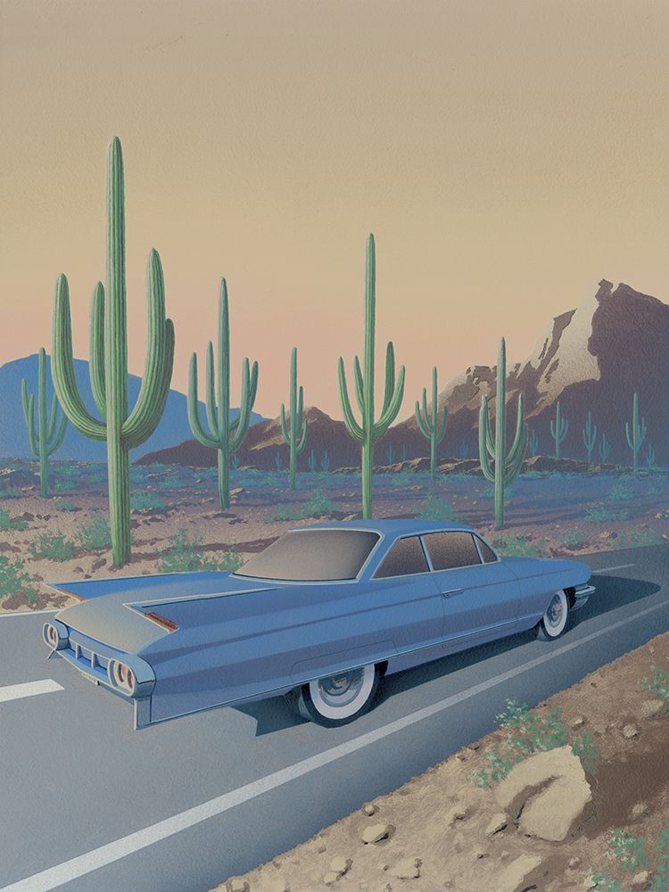 Saguaro National Park
