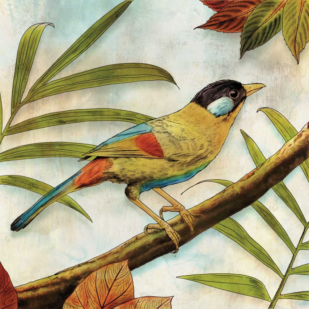 Jungle Bird I