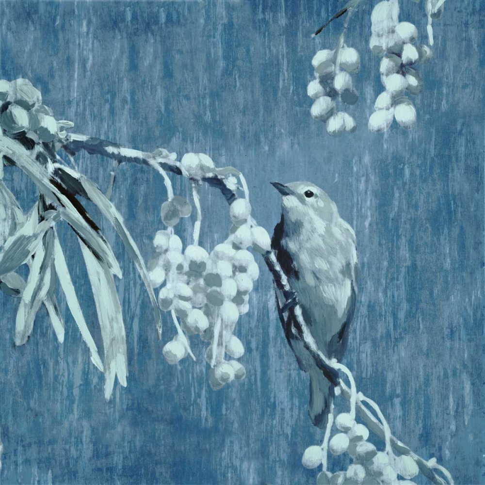 Denim Songbird II