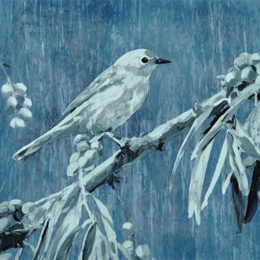 Denim Songbird III