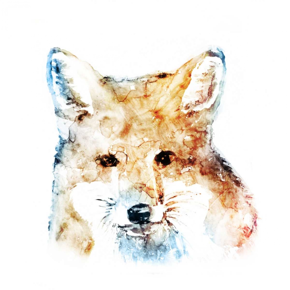 Watercolour Fox