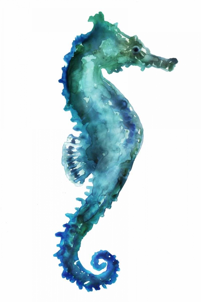 Sea Horse