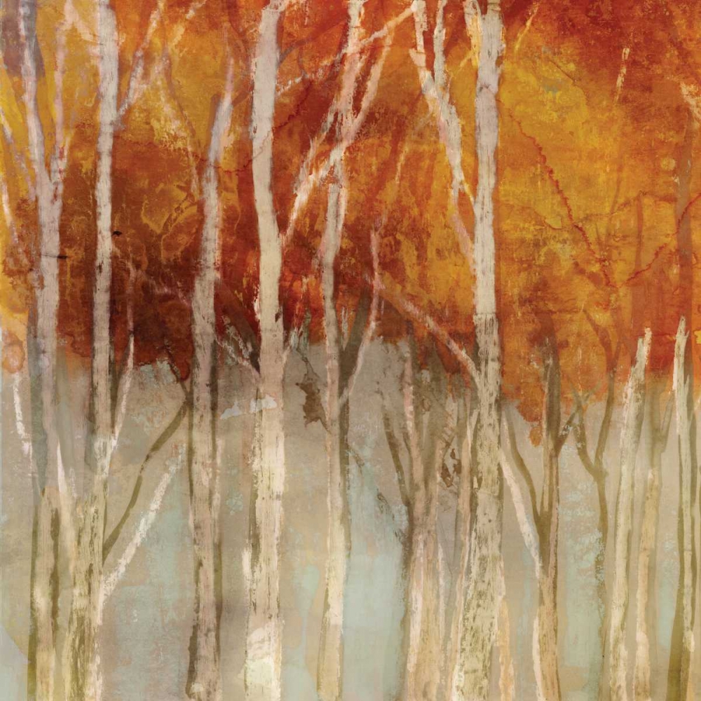 Belgium Forest I