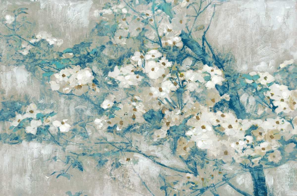 Dogwood Blooms