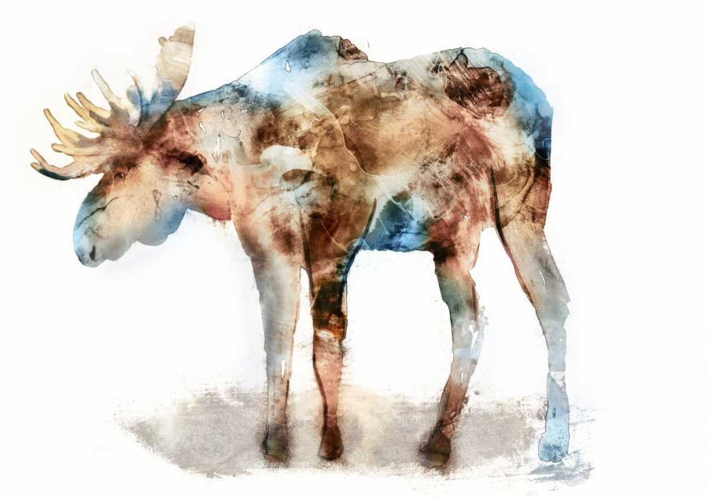 Moose
