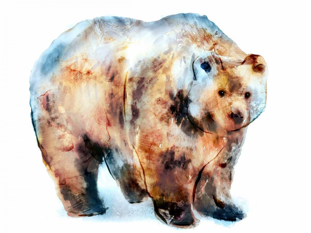 Bear