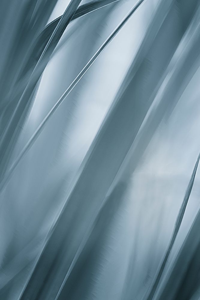 Blades of Grass