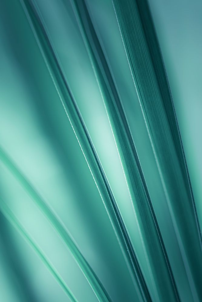 Tilting Blades