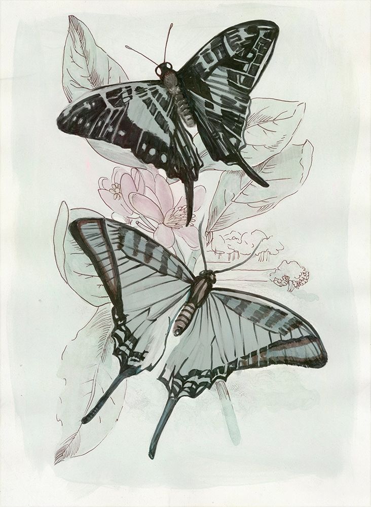 Butterfly Medley II