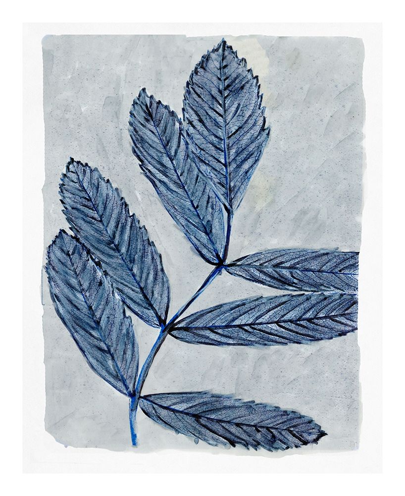 Modern Botanical Study I