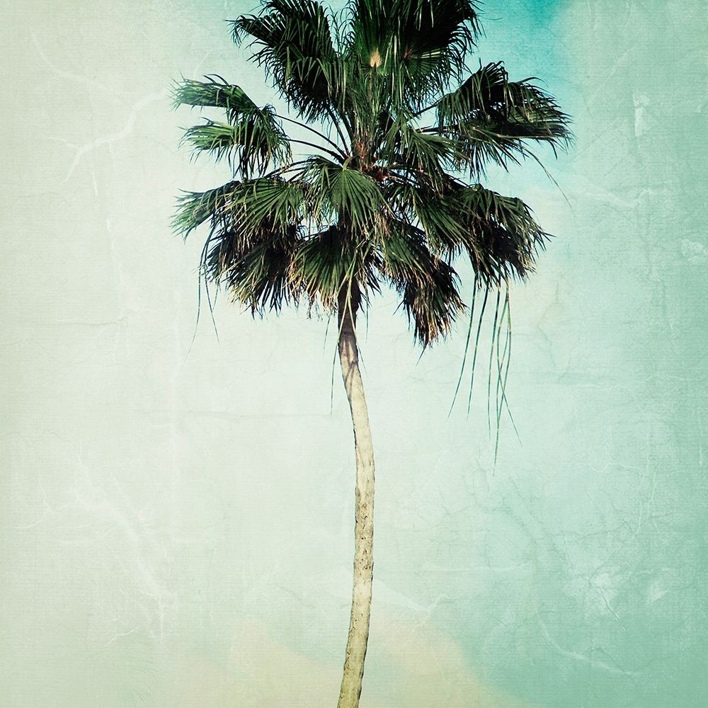 Beverly Hills II