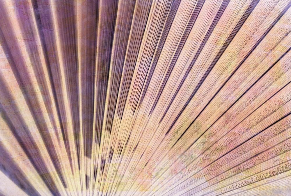 Palm Leaf Elements II