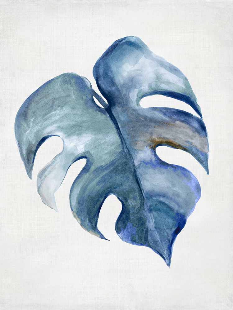 Tropical Fig Leaf