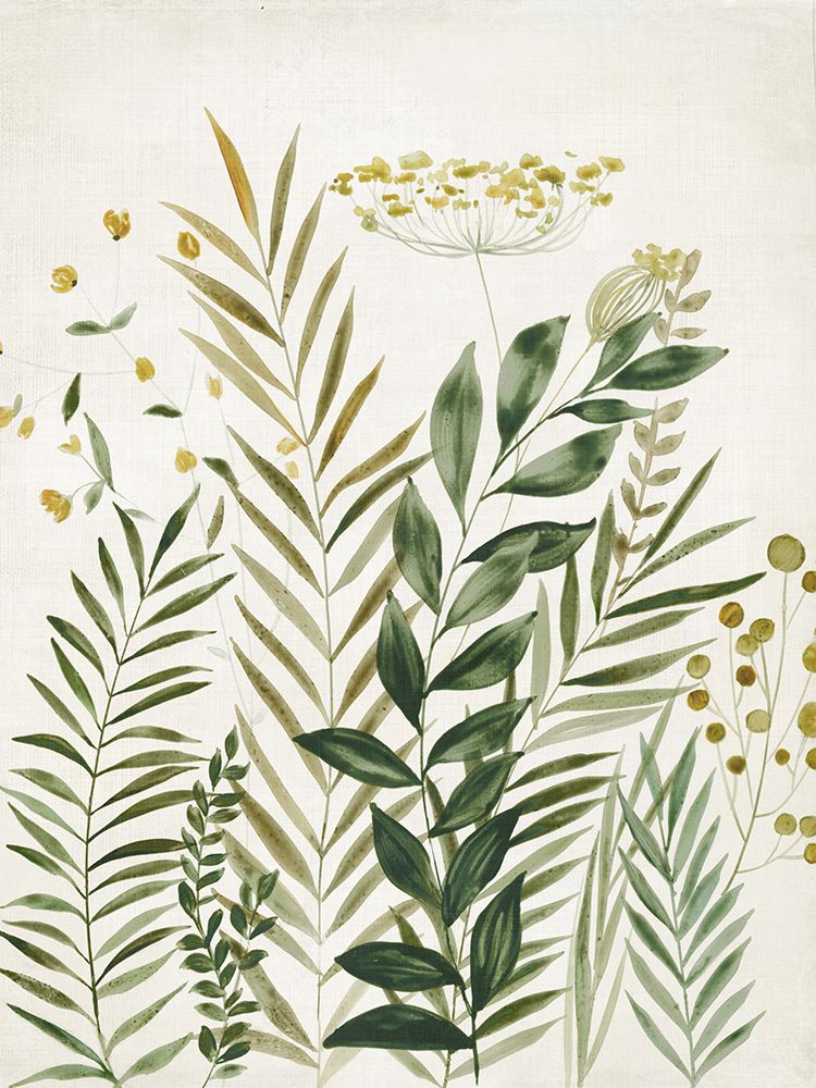 Lush Harmony I