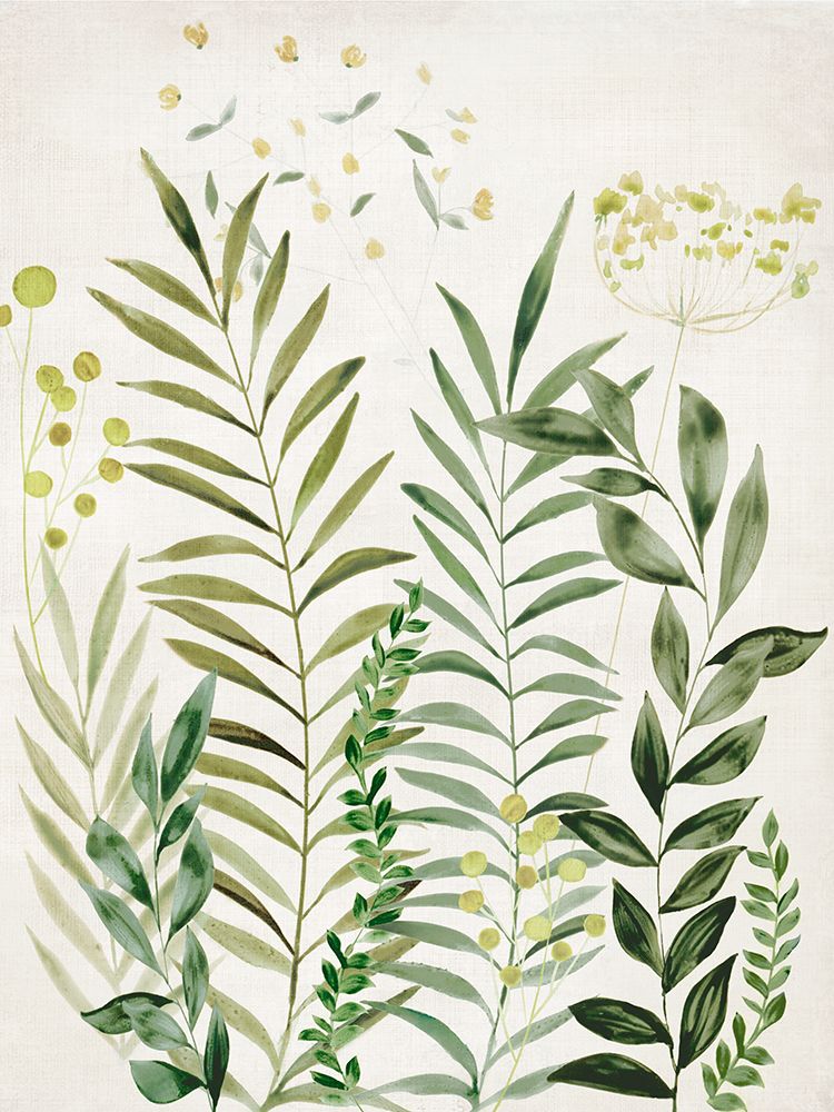 Lush Harmony II