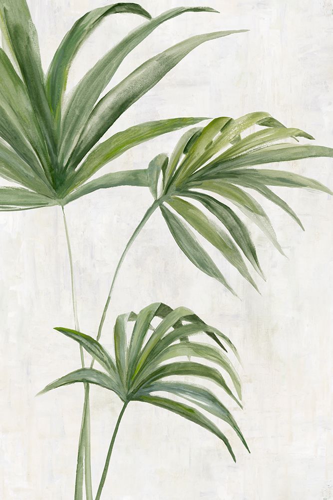 Calm Tropical Breeze I