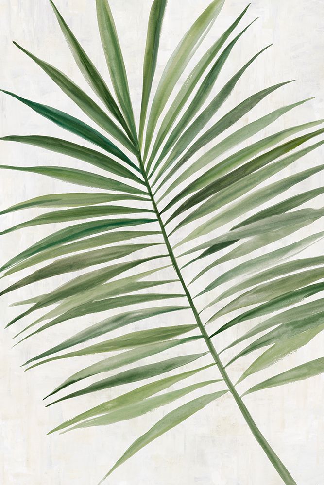 Calm Tropical Breeze II