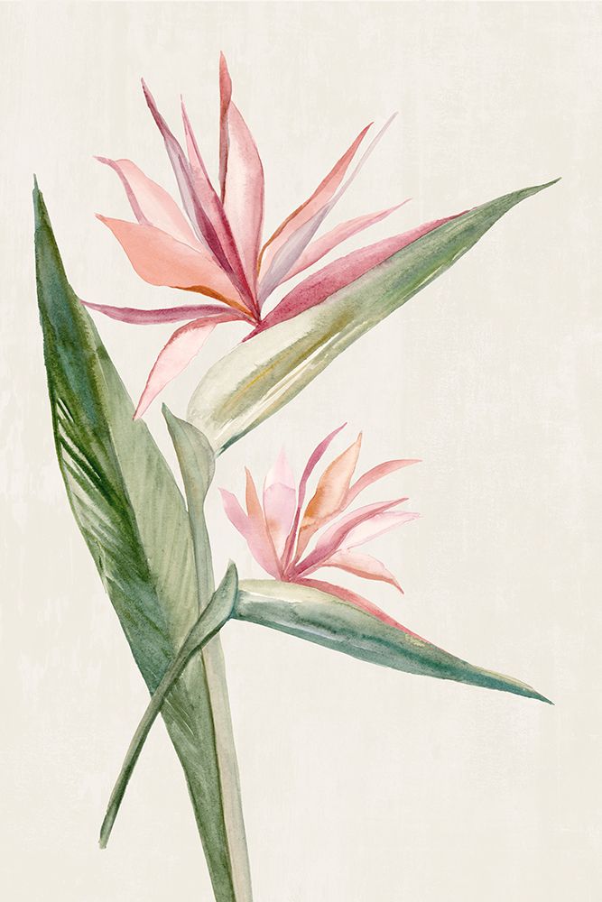 Whispers of the Shore