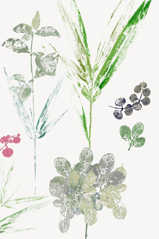 Overlapping Leaves I