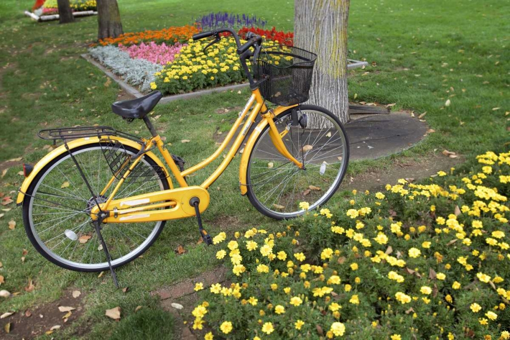 Japan Bicycle - 1