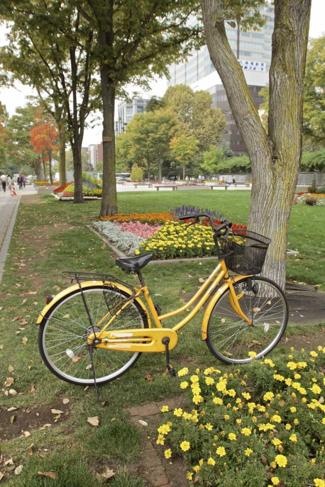 Japan Bicycle - 2