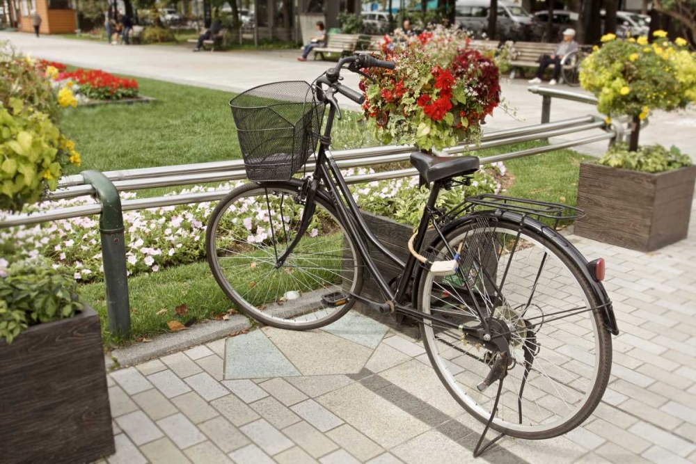 Japan Bicycle - 6