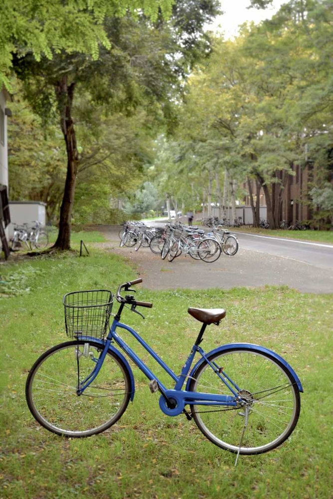 Japan Bicycle - 8