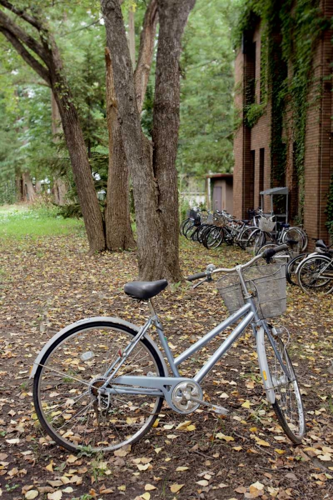 Japan Bicycle - 9