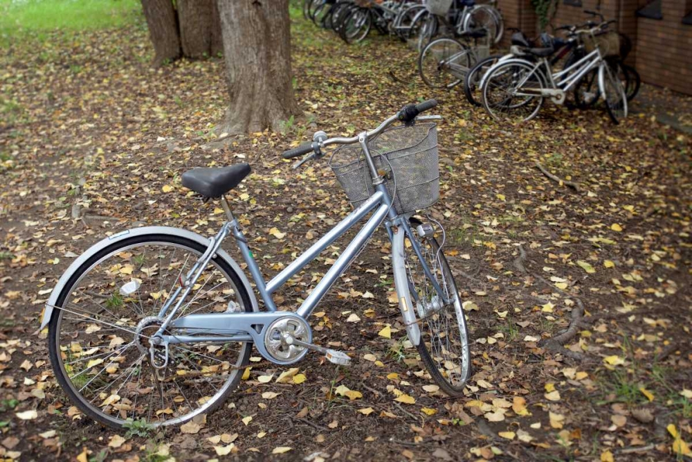 Japan Bicycle - 10