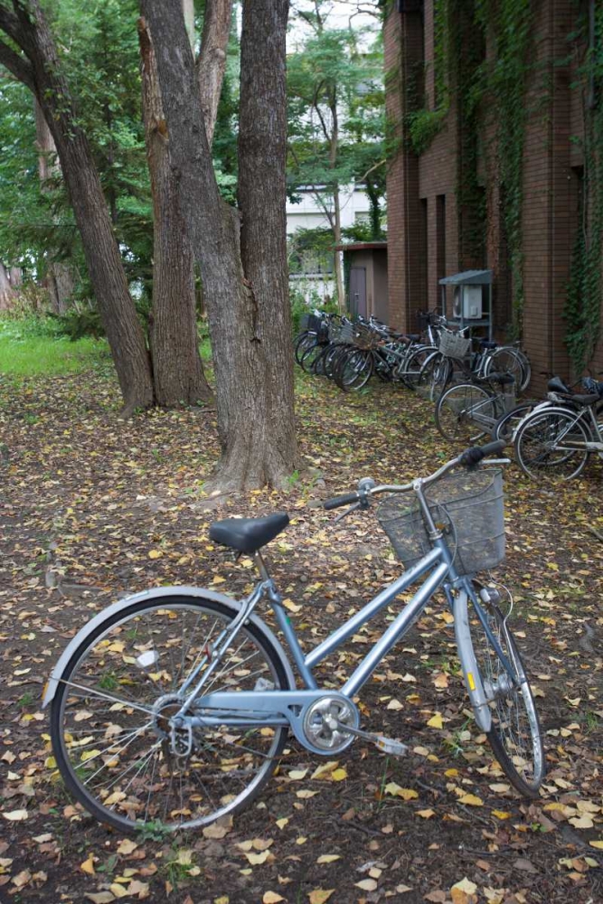 Japan Bicycle - 11