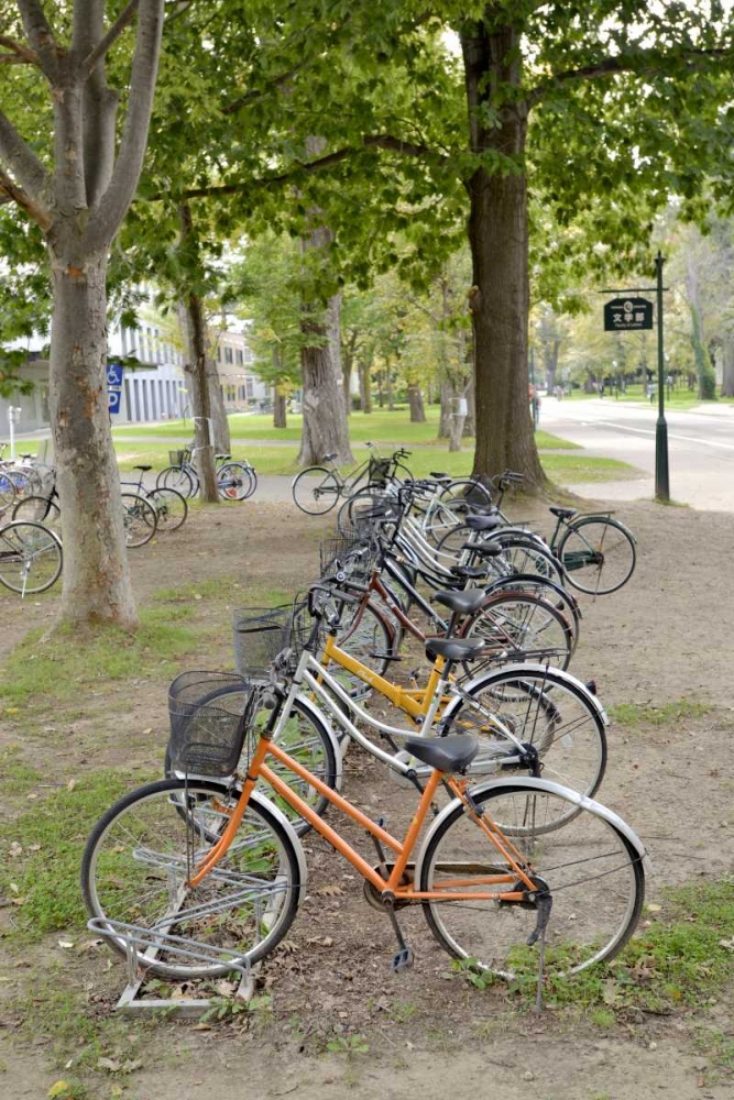 Japan Bicycle - 12