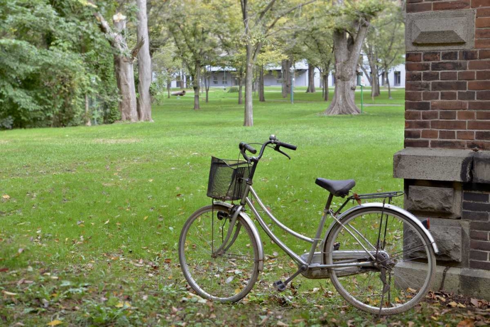 Japan Bicycle - 14