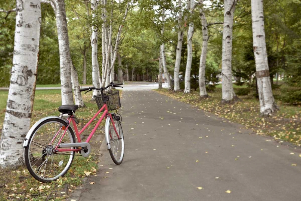 Japan Bicycle - 18