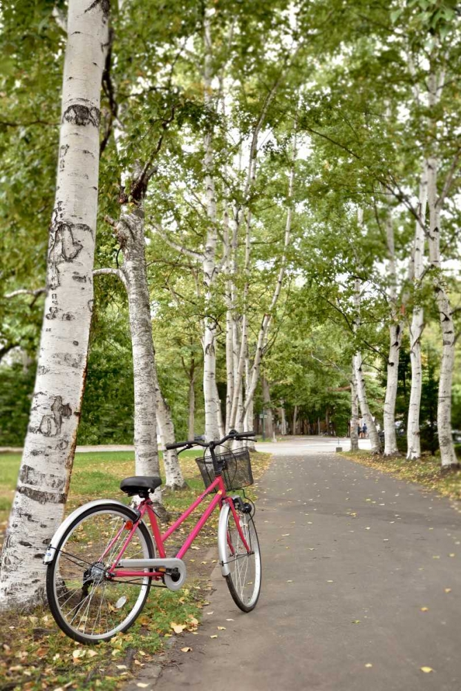 Japan Bicycle - 20