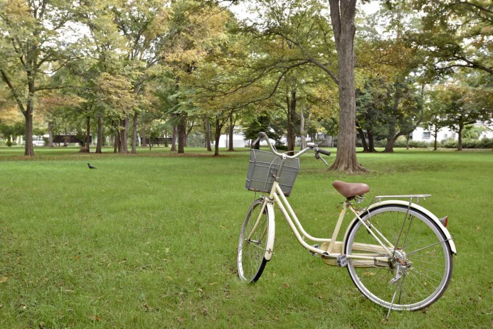 Japan Bicycle - 21