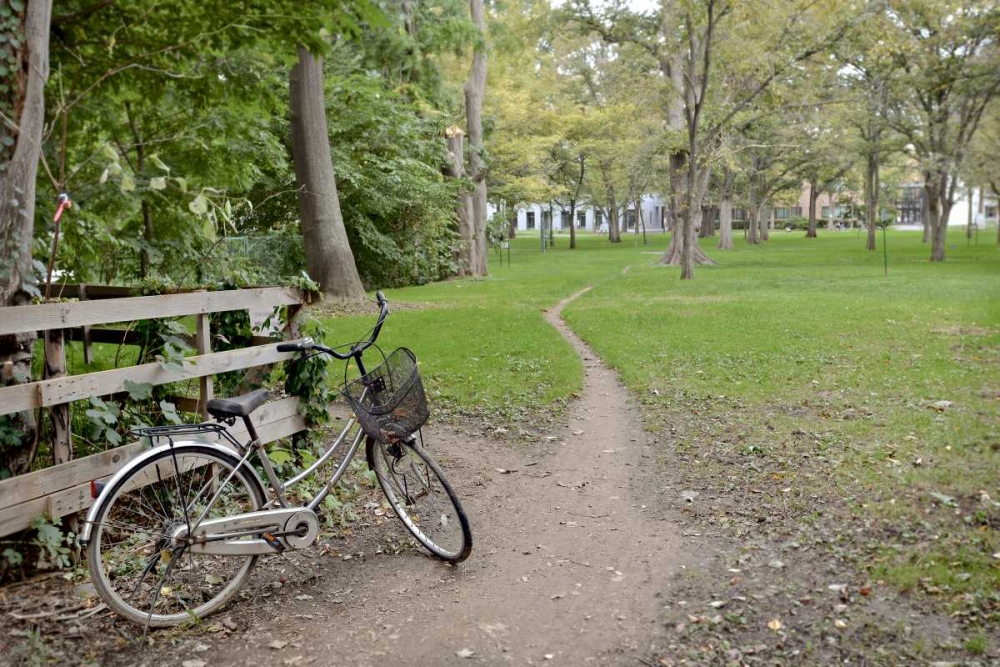 Japan Bicycle - 23