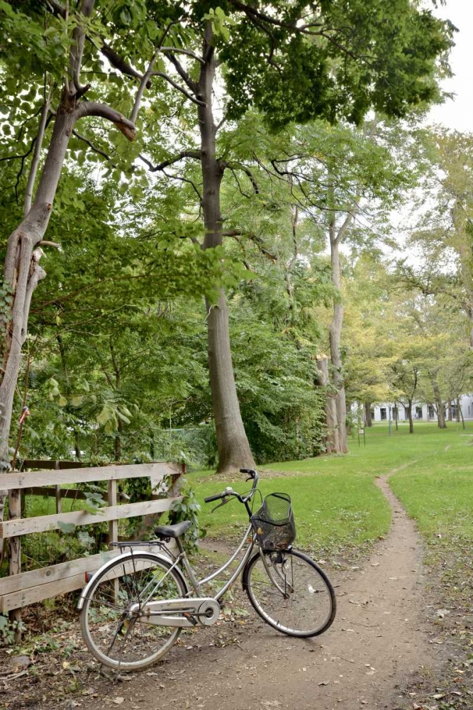 Japan Bicycle - 24