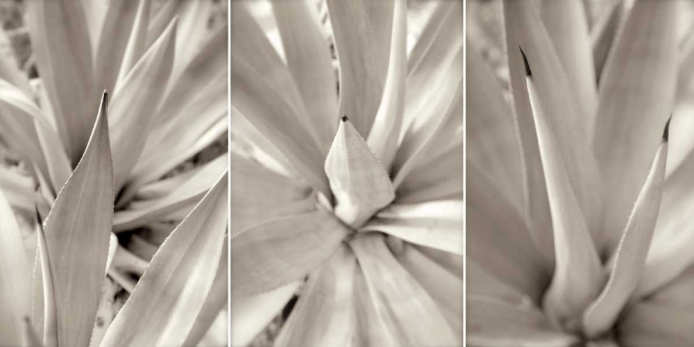 Floral Panel - 4