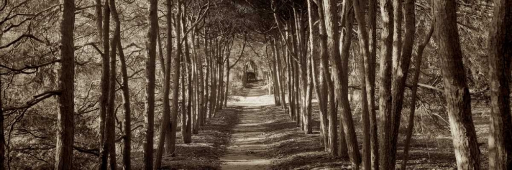 Hampton Gates Promenade - 2