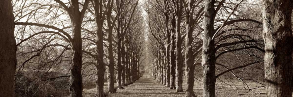 Hampton Gates Promenade - 1