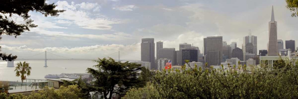 SF Skyline Pano - 110